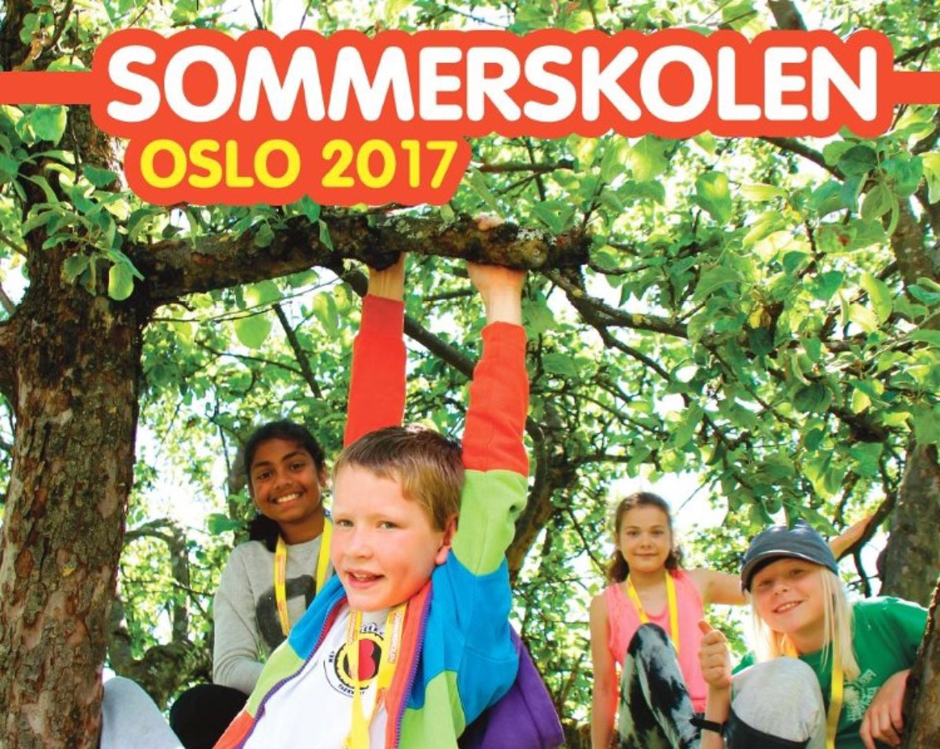 sommerskolen2017